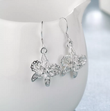 silver, earrings